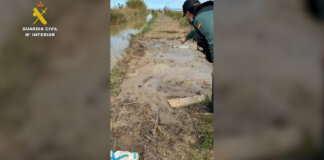Agentes de la Guardia Civil rescatando a un hombre en lodo en Catarroja
