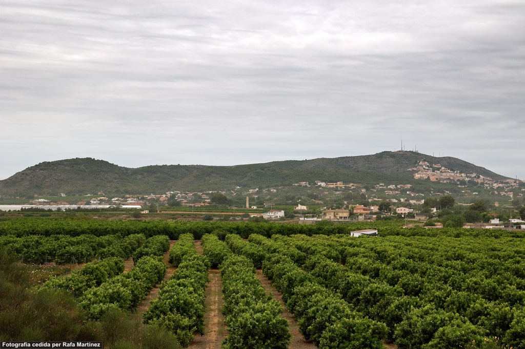 Vista de la Serra Perenxisa con cultivos en primer plano