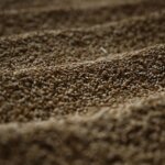 Granos de arroz en la novena edición del TastArròs en València