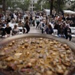 Vista de un plato de arroz en el TastArròs con público en València