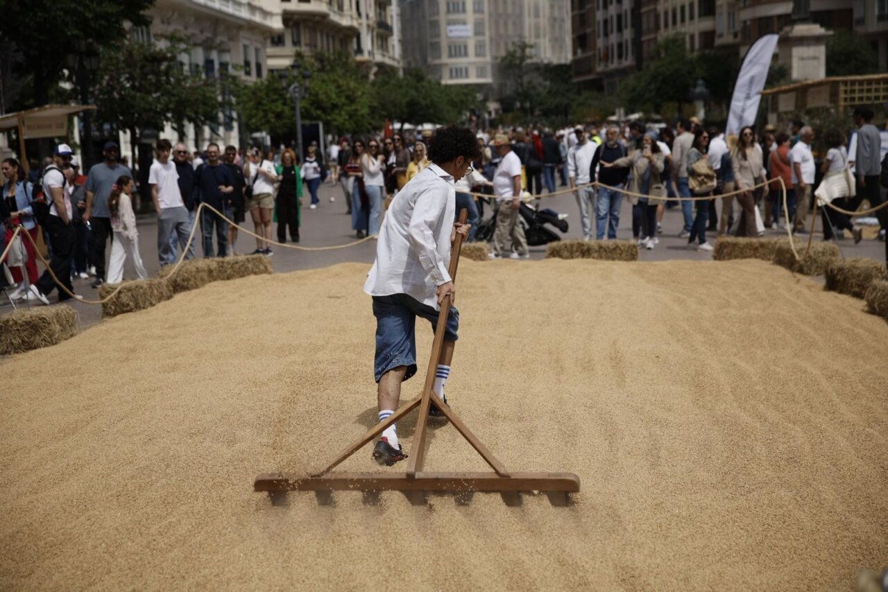 Participante trabajando en el TastArròs en Valencia con arroz