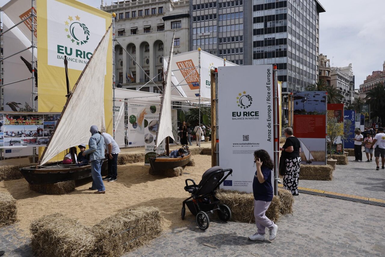 Evento TastArròs en València con actividades y participantes