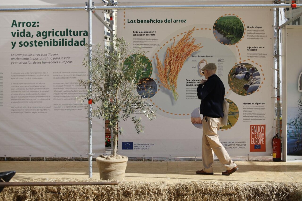 Persona caminando frente a un panel informativo sobre el arroz en València