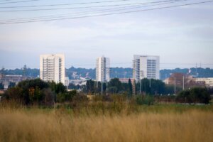 Vista de edificios en Torrent con vegetación en primer plano