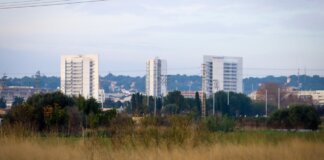 Vista de edificios en Torrent con vegetación en primer plano