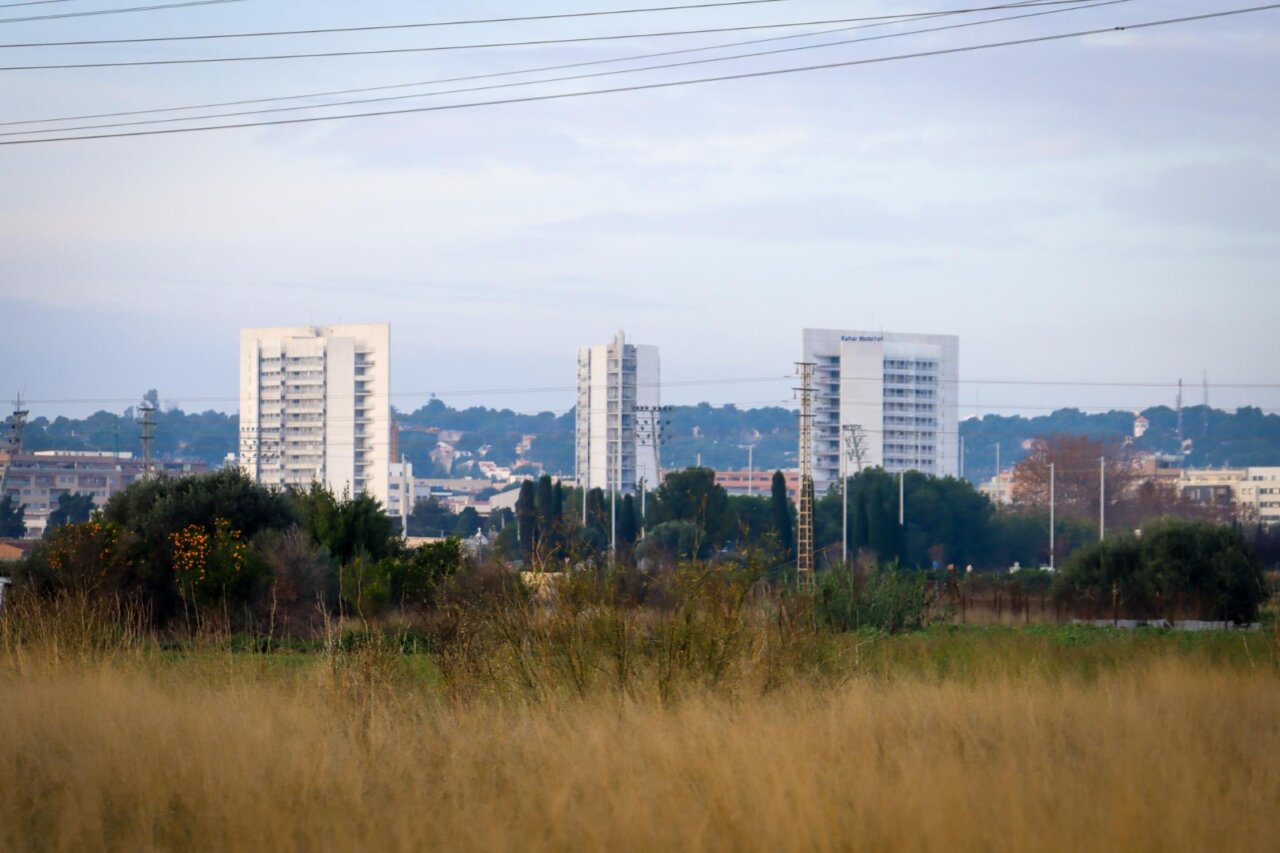 Vista de edificios en Torrent con vegetación en primer plano
