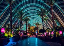 Interior del Umbracle con luces de colores y palmeras