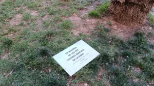 Placa conmemorativa en el parque de Albal, vandalizada y en el suelo.