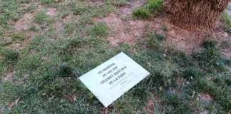 Placa conmemorativa en el parque de Albal, vandalizada y en el suelo.