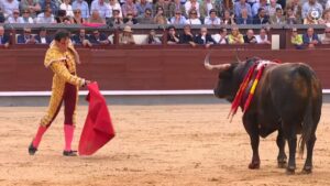 . À Punt reaferma l’èxit de la seua aposta pels bous amb un cap de setmana de rècord que consolida este contingut com un dels més seguits de la radiotelevisió pública valenciana. Les retransmissions taurines d’À Punt radiotelevisió valenciana han rebut el suport de l’audiència amb xifres de rècord per a la cadena pública, tant pel 6’2% de dissabte com pel 8,7% de share d’ahir diumenge. De fet, les 11 retransmissions de bous realitzades enguany per la cadena pública han reunit a 600.000 espectadors de la Comunitat Valenciana (l’11% de la seua població) amb una mitjana de 136.000 espectadors per cada emissió i una fidelitat del 37,2%. Fa ara un any que la direcció d’À Punt va impulsar una aposta decidida pels continguts taurins, una línia que hui es veu plenament reforçada pel suport de l’audiència. Estes dades evidencien l’interés per una realitat profundament arrelada a la Comunitat Valenciana, vinculada a la memòria, les tradicions i la vida dels nostres pobles. En este context, la radiotelevisió pública reforça el seu paper com a servei essencial per a la societat, donant visibilitat a les expressions culturals que formen part del nostre patrimoni col·lectiu. À Punt consolida així un model de servei públic que connecta amb la ciutadania i que aposta per reflectir la identitat i la pluralitat de la societat valenciana i les xifres de rècord registrades este cap de setmana així ho demostren. Amb una mitjana de 90.000 espectadors al llarg de quasi 2 hores i mitja de retransmissió, la correguda d’ahir diumenge, 24 de maig, des de Madrid va registrar un 8’7% de share per a vore l’actuació dels toreros Fortes, Víctor Hernández i David de Miranda. En total 169.000 espectadors passaren per À Punt al llarg de la vesprada-nit per seguir este correguda de bous de Sant Isidre amb pics que arribaren al 10’8% de share. La vesprada torera començà a les 18h amb el programa La plaça que presenta Jorge Casals. Amb 72.000 espectadors, este espai va servir d’aperitiu per a la faena que havien de fer els matadors amb els bous d’Alcurrucén. L’orella que va tallar David de Miranda i l’entrega de Fortes i Víctor Hernández va fer que À Punt fora la segona opció triada pels aficionats de tota la Comunitat Valenciana durant bona part de la vesprada d’ahir diumenge, sols superada per Antena 3, amb la narració del mateix Jorge Casals i els comentaris de l’ex torero, Manolo Carrión. Per la seua part, la correguda de dissabte, 23 de maig, des de Bocairent, va congregar en algun moment de la vesprada a 176.000 espectadors amb una audiència mitjana d’un 6’2% amb pics que arribaren al 9,5% de share. Com va passar ahir diumenge, esta retransmissió de bous es va convertir en diversos moments de la vesprada com a la segona opció dels valencians, sols per darrere en este cas de La 1. A més, cal destacar que els bous s’han situat en el 5t lloc de programes d’entreteniment més vistos de la cadena en 2026 per darrere de les Mascletaes, les Falles, l’Atrapa’m si pots Llegendes i La Cuina de Morera. A més del programa setmanal de televisió La plaça, cal recordar que À Punt emet divendres de vesprada l’espai radiofònic Terra de bous, que presenta Germán Estela. Continua La Fira de S.Isidre per À Punt La Fira de S.Isidre continua en la radiotelevisió pública valenciana, ja que À Punt retransmetrà des de Las Ventas les corregudes següents a partir de les 19h: Dissabte 30 de maig. Ruí Fernandes, Diego Ventura i Lea Vicens (Ramaderia: Maria Guiomar Cortés de Moura) Diumenge 31 de maig. Antonio Ferrera, Paco Ureña i Manuel Escribano. (Ramaderia: Adolfo Martín) Dissabte 6 de juny. Morenito de Aranda, Fernando Adrián i Román ( Ramaderia: Victorino Martín) Diumenge 7 de juny. Borja Jiménez (Ramaderia: Cortés y Domingo Hernández) Diumenge 14 de juny. Talavante, Víctor Hernández i Roca Rey (Ramaderia: Victoriano del Río y Cortés).