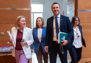 Pleno Diputación