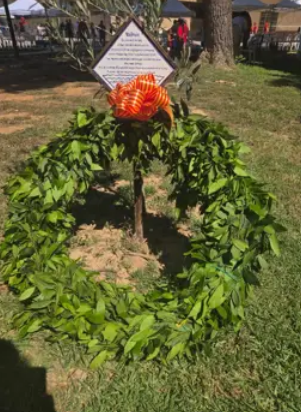La Nova Muixeranga d’Algemesí homenajeará en Catarroja a las víctimas de la dana alzando su emblemática figura humana de “la reverencia”