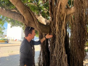 Hombre interactuando con un árbol de raíces expuestas