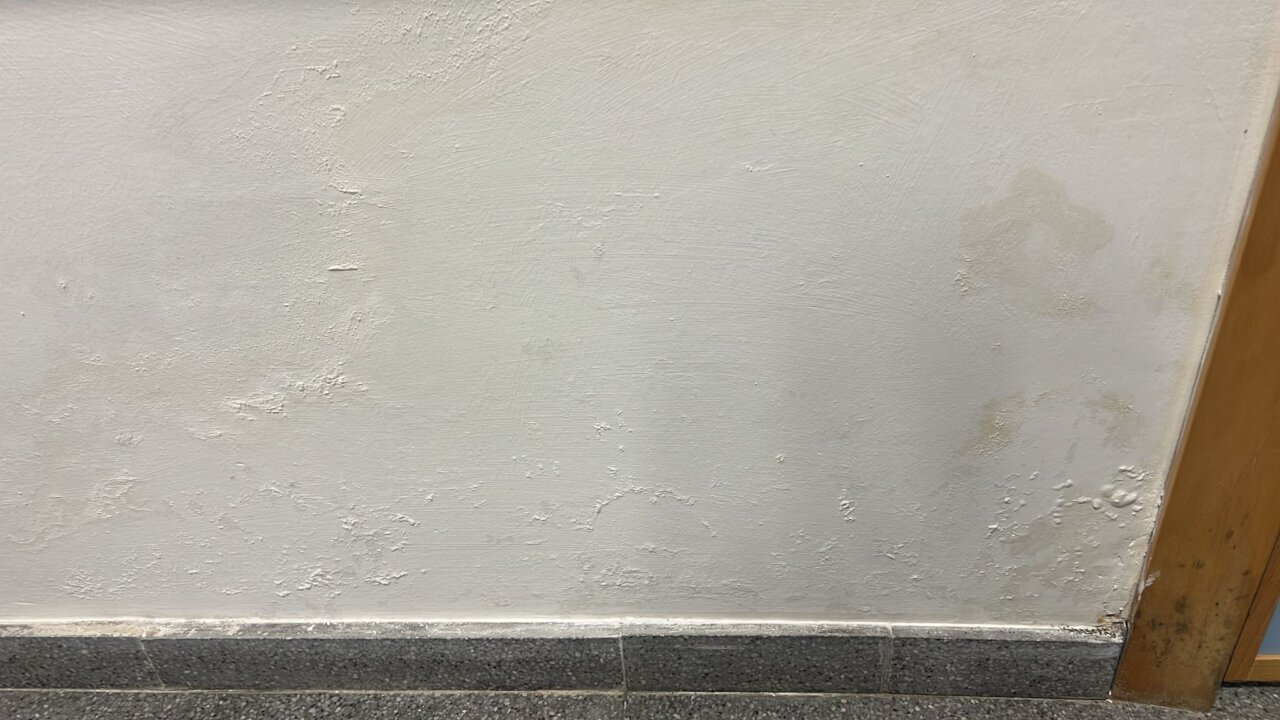 Pared con humedades visibles en un colegio