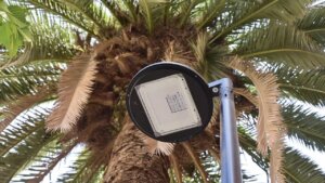 Nuevo sistema de alumbrado público en València con palmera de fondo