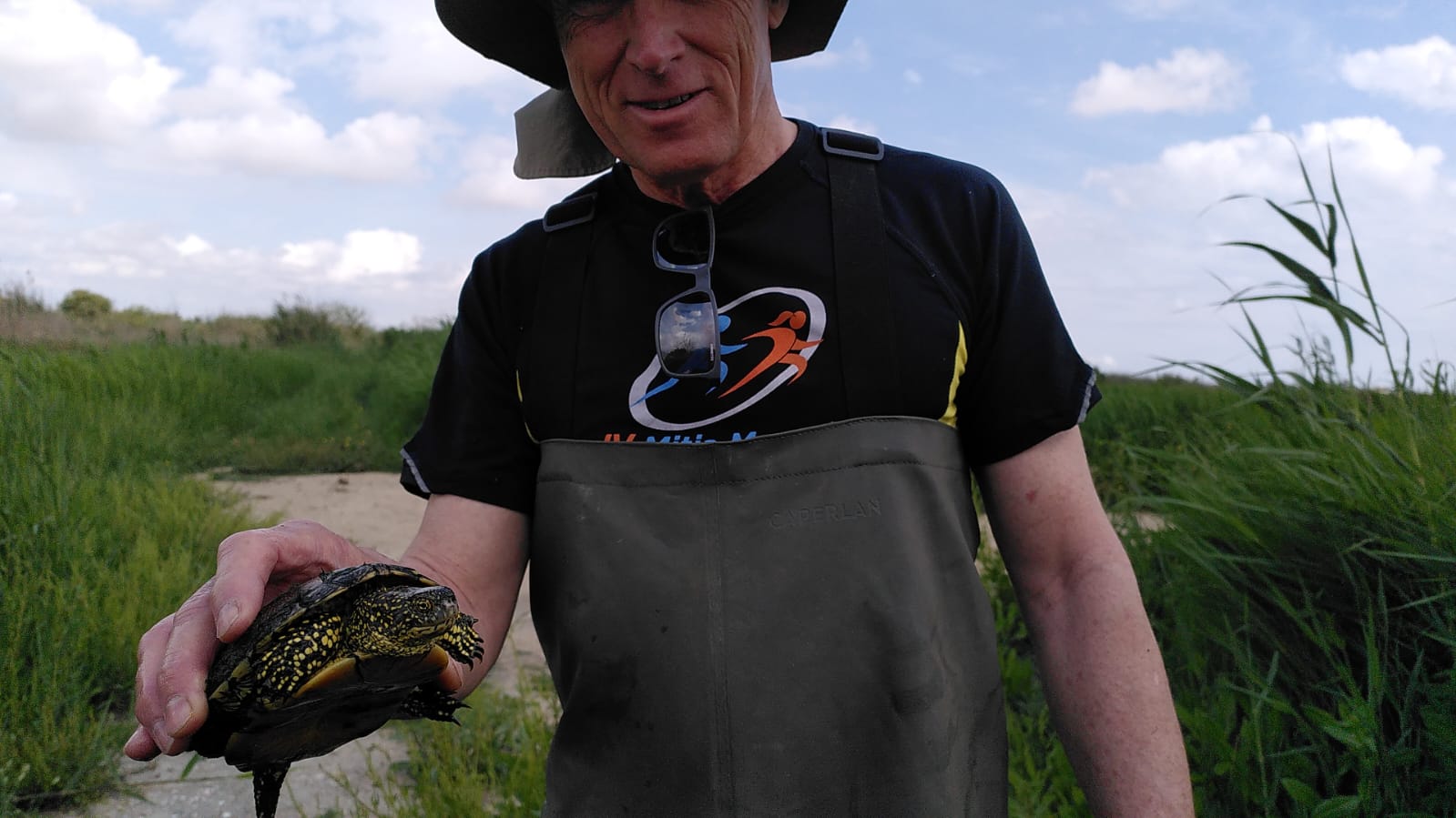 tortuges albufera Acció Ecologista-Agró