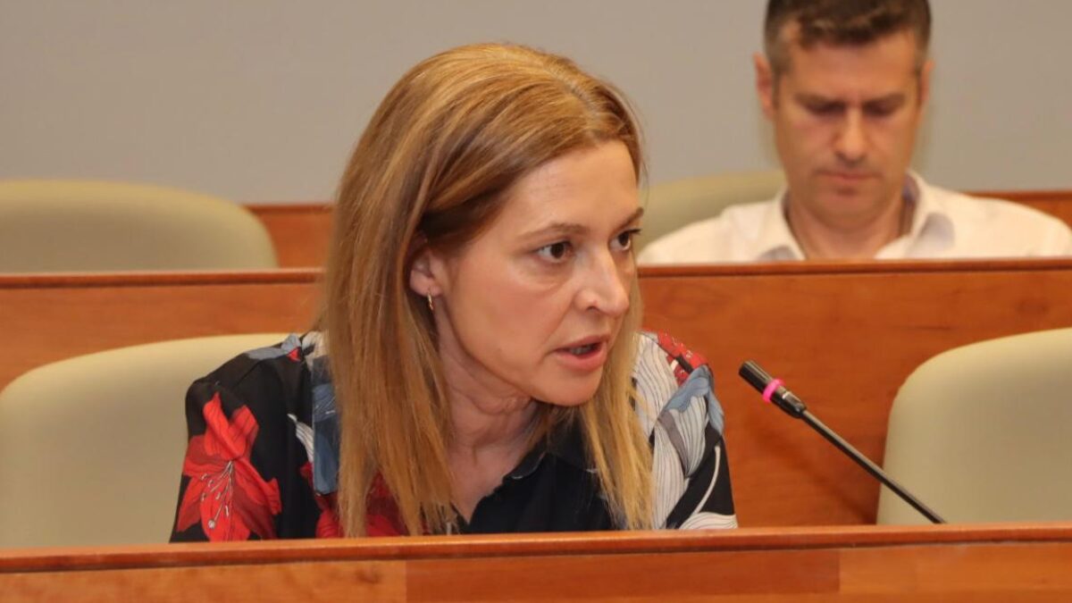 María Ángeles Lerma expone la propuesta de Vox en el pleno del Ayuntamiento de Torrent.