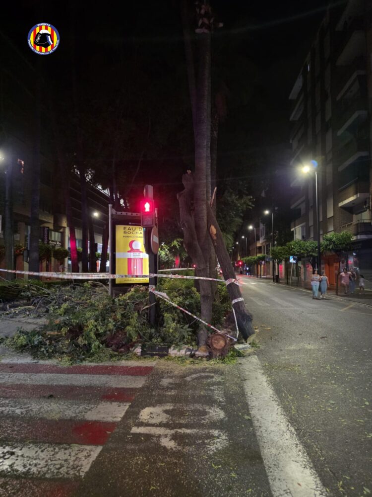 Los bomberos intervienen en Torrent por la caída de un árbol de grandes dimensiones en la avenida del Vedat