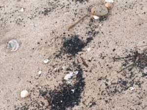 cenizas incendio playa Valencia