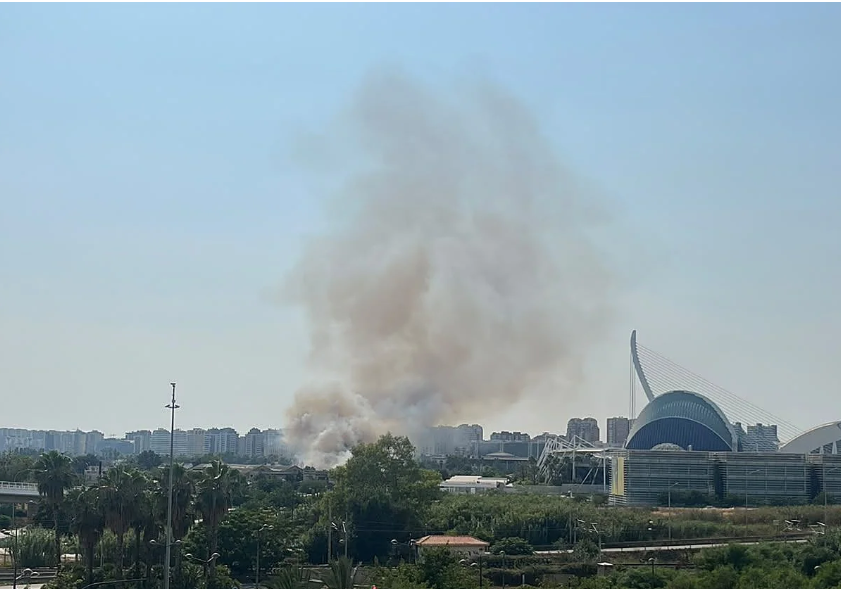 Un aparatoso incendio de campos junto al Oceanogràfic obliga a cortar los accesos a València por la V-15 y la línea del tranvía