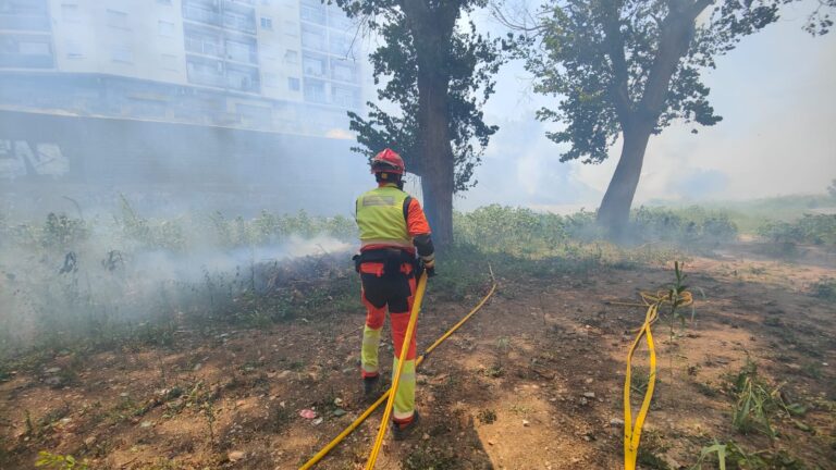 Fallece una personas en el incendio forestal declarado en Manises