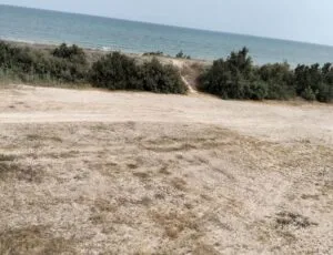 zona aparcamiento en la playa de Massalfassar propuesto por el PP