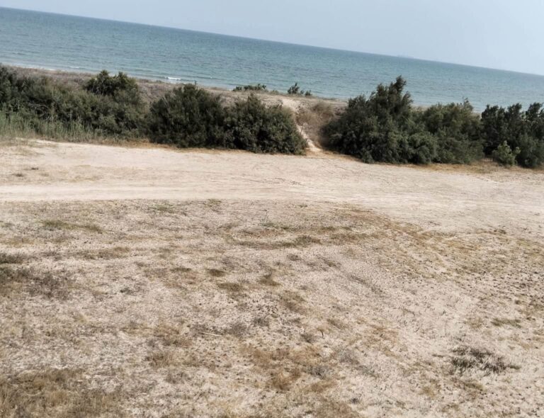 zona aparcamiento en la playa de Massalfassar propuesto por el PP