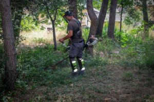 brigada forestal Torrent