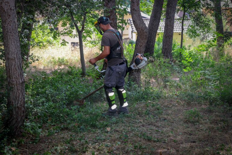 brigada forestal Torrent