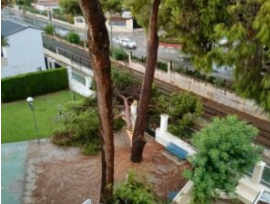 El viento provoca la caída de más de diez árboles y cuantiosos daños materiales en Paterna