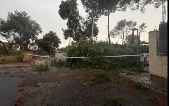 El viento provoca la caída de más de diez árboles y cuantiosos daños materiales en Paterna