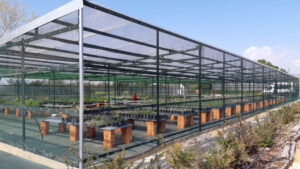 La Delegación de Devesa-Albufera del Ayuntamiento ha adjudicado el suministro de una nueva cámara climática para el laboratorio de germinación de los viveros municipales de El Saler, una infraestructura fundamental para la conservación y producción de especies vegetales autóctonas empleadas en los trabajos de restauración ambiental del Parque Natural de L’Albufera.