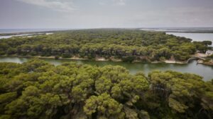 La Devesa de Valencia