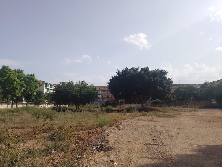 solar-futuro-colegio-zona-DANA