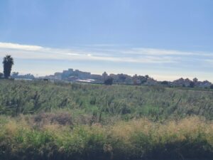 campos abandonados en Meliana