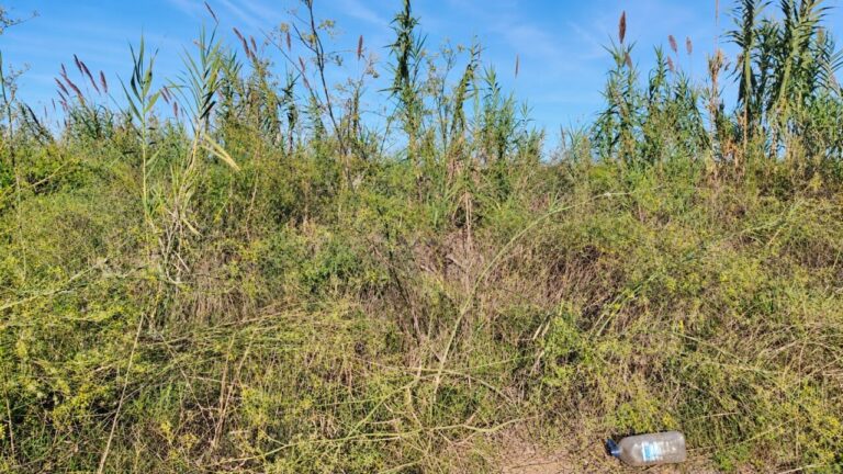 LA UNIÓ denuncia el descontrol en las ayudas de la DANA dos años después