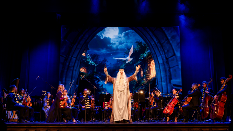 Harry-Potter-Sinfonico-Roig-Arena