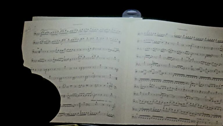Orquestra-de-Valencia-concierto-en-la-Catedral-de-Valencia-09