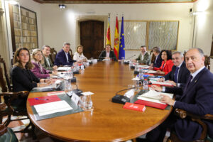 Pleno del Consell