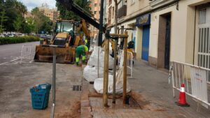 Valencia-Plantacio-arbres-