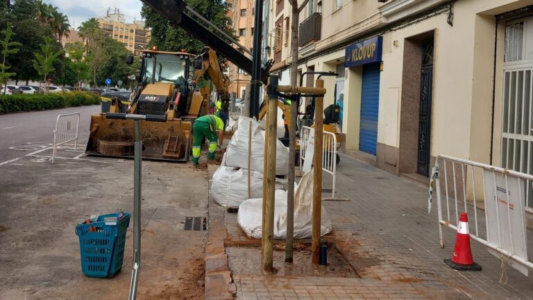 Valencia-Plantacio-arbres-