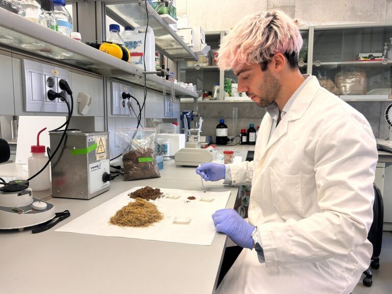 investigador paja del arroz