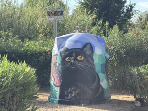 colonia felina de Manises