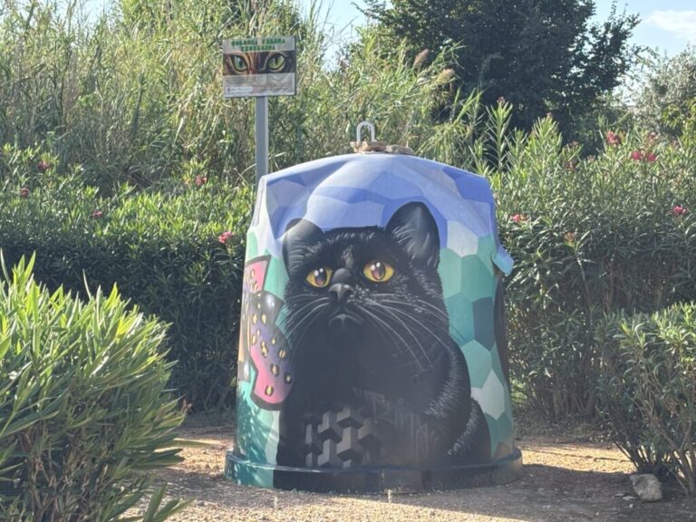 colonia felina de Manises