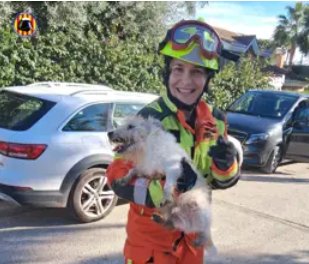 Los Bomberos del Parque de Catarroja rescatan a un perro tras caer a una fosa séptica en Picassent