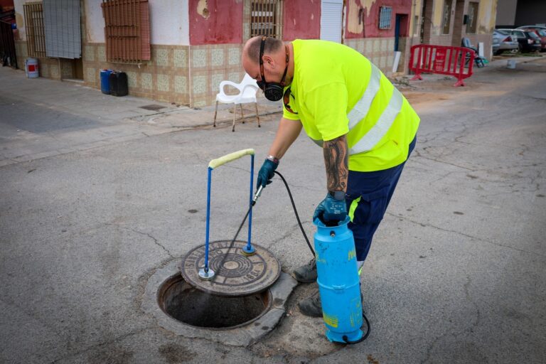 tratamiento contra plagas xenillet torrent